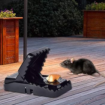 Easy Trap Mouse Catcher (Free Delivery 🚚)