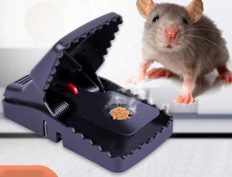 Easy Trap Mouse Catcher (Free Delivery 🚚)